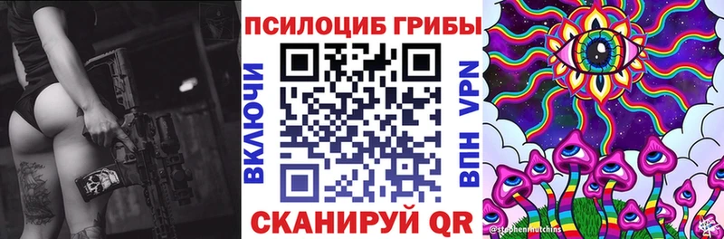 Псилоцибиновые грибы GOLDEN TEACHER  купить закладку  ссылка на мегу   Курчалой 