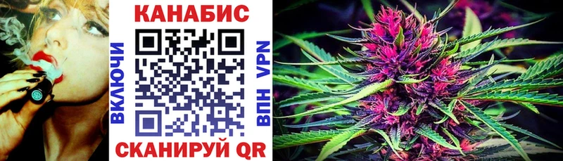 Конопля Ganja  Курчалой 